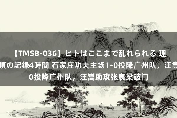 【TMSB-036】ヒトはここまで乱れられる 理性崩壊と豪快絶頂の記録4時間 石家庄功夫主场1-0投降广州队，汪嵩助攻张宸梁破门