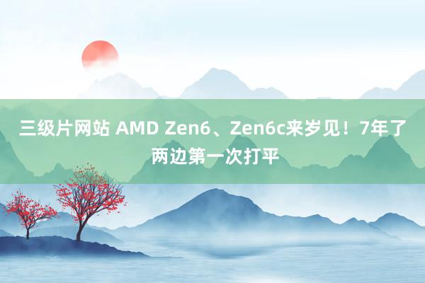 三级片网站 AMD Zen6、Zen6c来岁见！7年了 两边第一次打平