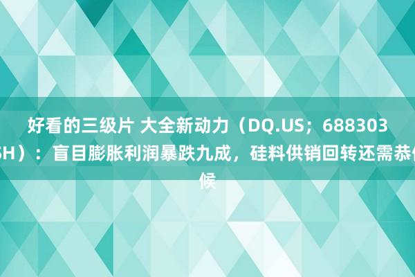 好看的三级片 大全新动力（DQ.US；688303.SH）：盲目膨胀利润暴跌九成，硅料供销回转还需恭候