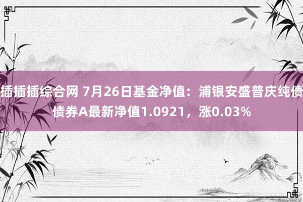 插插插综合网 7月26日基金净值：浦银安盛普庆纯债债券A最新净值1.0921，涨0.03%