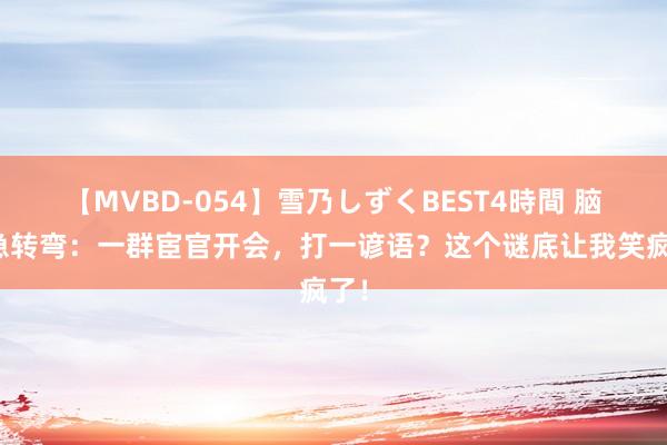 【MVBD-054】雪乃しずくBEST4時間 脑筋急转弯：一群宦官开会，打一谚语？这个谜底让我笑疯了！