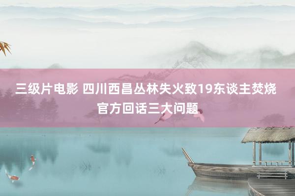 三级片电影 四川西昌丛林失火致19东谈主焚烧 官方回话三大问题