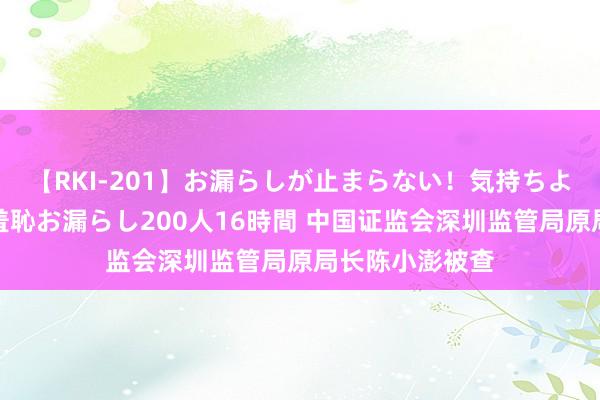 【RKI-201】お漏らしが止まらない！気持ちよすぎる失禁・羞恥お漏らし200人16時間 中国证监会深圳监管局原局长陈小澎被查