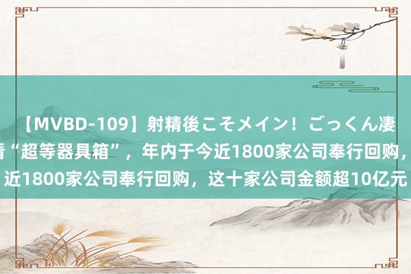 【MVBD-109】射精後こそメイン！ごっくん凄テク8時間 运转市值照看“超等器具箱”，年内于今近1800家公司奉行回购，这十家公司金额超10亿元