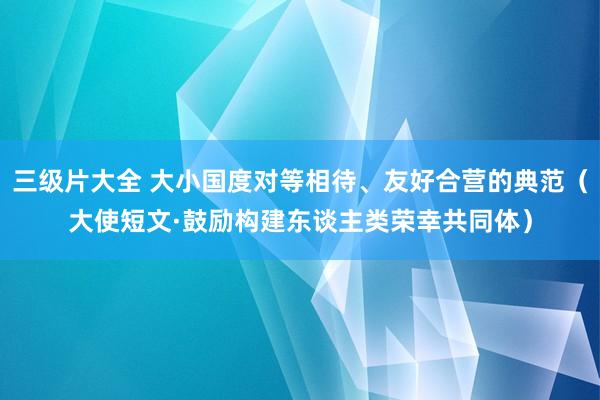 三级片大全 大小国度对等相待、友好合营的典范（大使短文·鼓励构建东谈主类荣幸共同体）