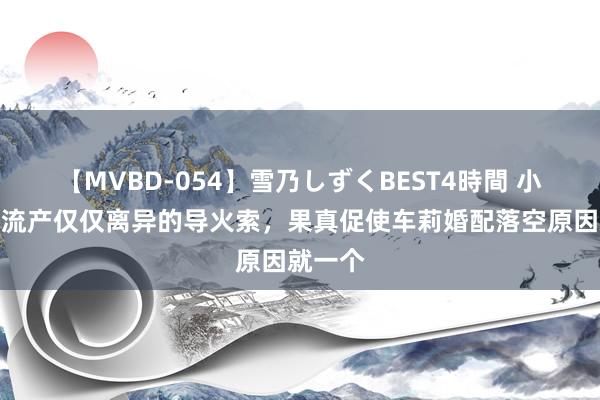 【MVBD-054】雪乃しずくBEST4時間 小佳耦：流产仅仅离异的导火索，果真促使车莉婚配落空原因就一个