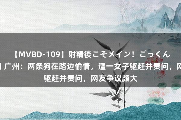 【MVBD-109】射精後こそメイン！ごっくん凄テク8時間 广州：两条狗在路边偷情，遭一女子驱赶并责问，网友争议颇大