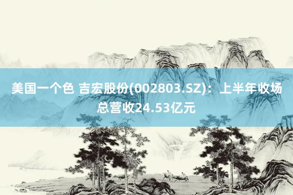 美国一个色 吉宏股份(002803.SZ)：上半年收场总营收24.53亿元