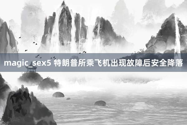 magic_sex5 特朗普所乘飞机出现故障后安全降落