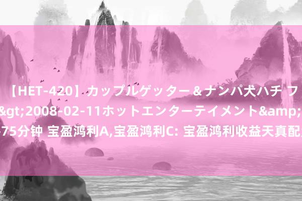 【HET-420】カップルゲッター＆ナンパ犬ハチ ファイト一発</a>2008-02-11ホットエンターテイメント&$向井75分钟 宝盈鸿利A,宝盈鸿利C: 宝盈鸿利收益天真配置混杂型证券投资基金更新招募说明书