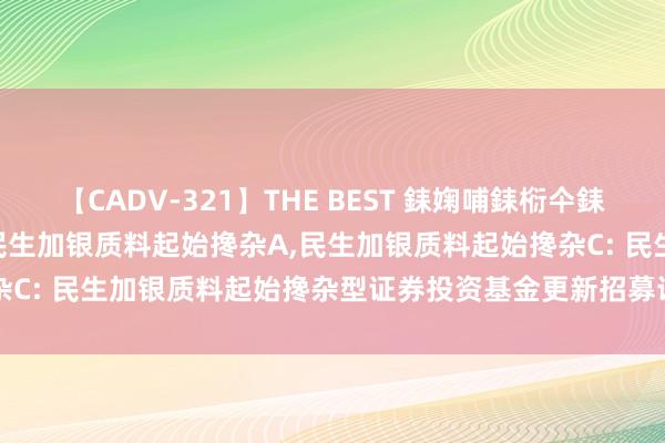 【CADV-321】THE BEST 銇婅哺銇椼仐銇俱仚銆?50浜?鏅傞枔DX 民生加银质料起始搀杂A,民生加银质料起始搀杂C: 民生加银质料起始搀杂型证券投资基金更新招募说明书(2024年第1号)