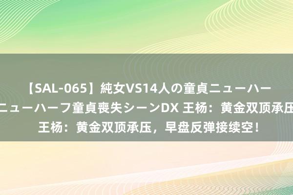 【SAL-065】純女VS14人の童貞ニューハーフ 二度と見れないニューハーフ童貞喪失シーンDX 王杨：黄金双顶承压，早盘反弹接续空！