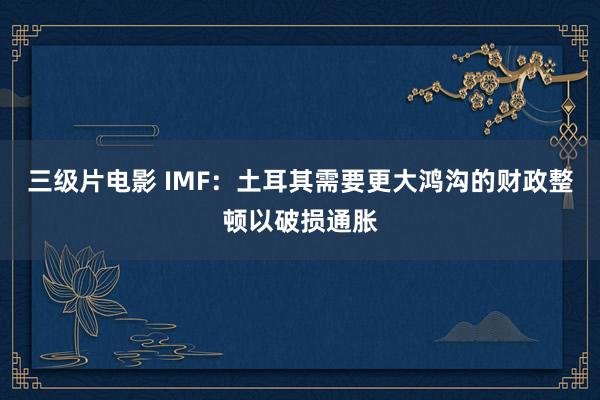 三级片电影 IMF：土耳其需要更大鸿沟的财政整顿以破损通胀