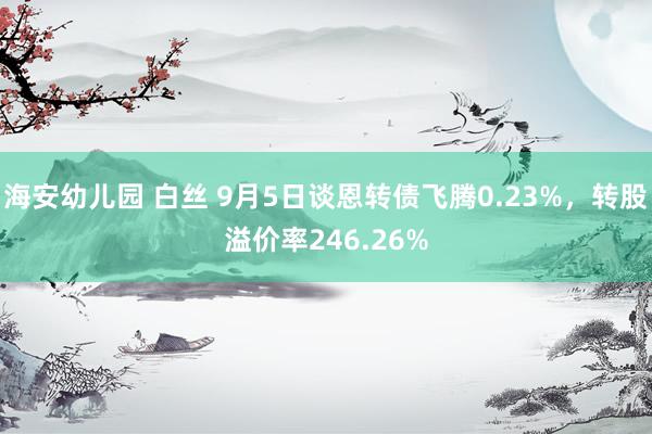 海安幼儿园 白丝 9月5日谈恩转债飞腾0.23%，转股溢价率246.26%