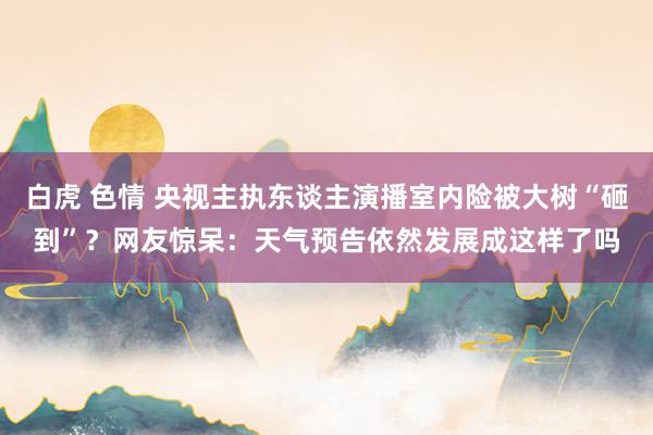 白虎 色情 央视主执东谈主演播室内险被大树“砸到”？网友惊呆：天气预告依然发展成这样了吗