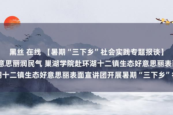 黑丝 在线 【暑期“三下乡”社会实践专题报谈】表面宣讲环湖行 生态好意思丽润民气 巢湖学院赴环湖十二镇生态好意思丽表面宣讲团开展暑期“三下乡”行动