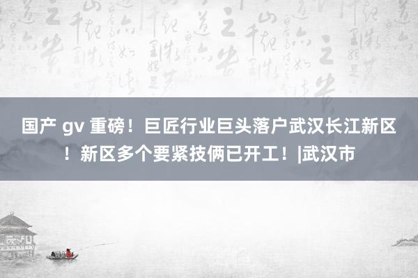 国产 gv 重磅！巨匠行业巨头落户武汉长江新区！新区多个要紧技俩已开工！|武汉市